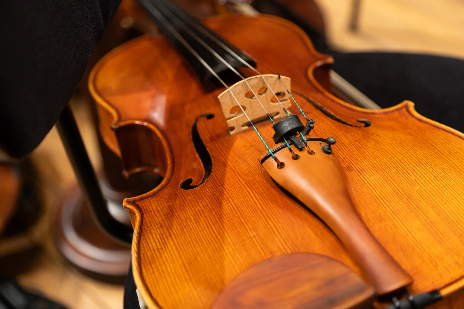 MUSA — Violin Detail
